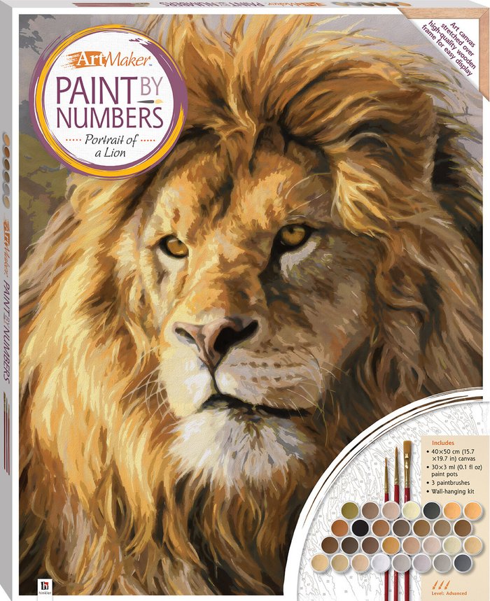 The Range | Hinkler Paint by Numbers Canvas - Lion / 41.1cm Hinkler Paint by Numbers Canvas - Lion / 41.1cm