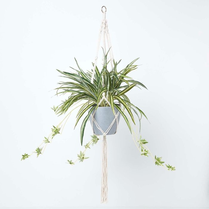 The Range | Homescapes Homescapes Artificial Hanging Basket Spider Plant, 95 cm - Green Homescapes Homescapes Artificial Hanging Basket Spider Plant, 95 cm - Green