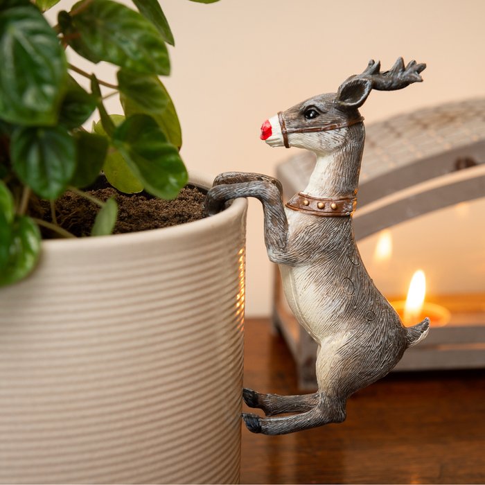 The Range | Pot Buddies Rudolph Christmas Plant Pot Hanger - Grey Pot Buddies Rudolph Christmas Plant Pot Hanger - Grey