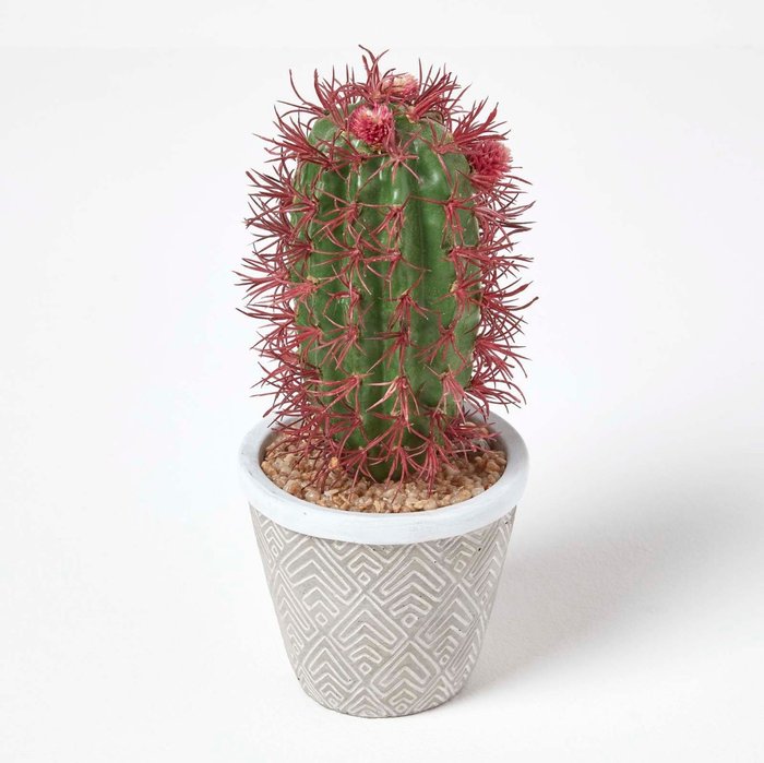 The Range | Homescapes Homescapes Denmoza Artificial Cactus with Flowers in Patterned Pot, 25 cm Tall - Green Homescapes Homescapes Denmoza Artificial Cactus with Flowers in Patterned Pot, 25 cm Tall - Green
