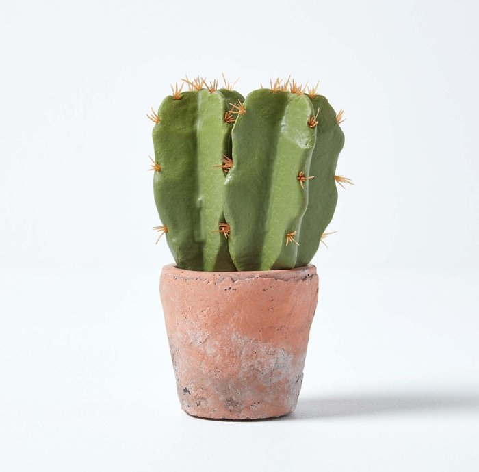 The Range | Homescapes Homescapes Small Artificial Cactus in Terracotta Pot, 17cm Tall - Green Homescapes Homescapes Small Artificial Cactus in Terracotta Pot, 17cm Tall - Green