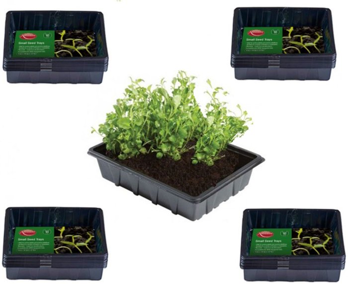 The Range | Ambassador 10 Small Seed Trays - Black / 40 Ambassador 10 Small Seed Trays - Black / 40