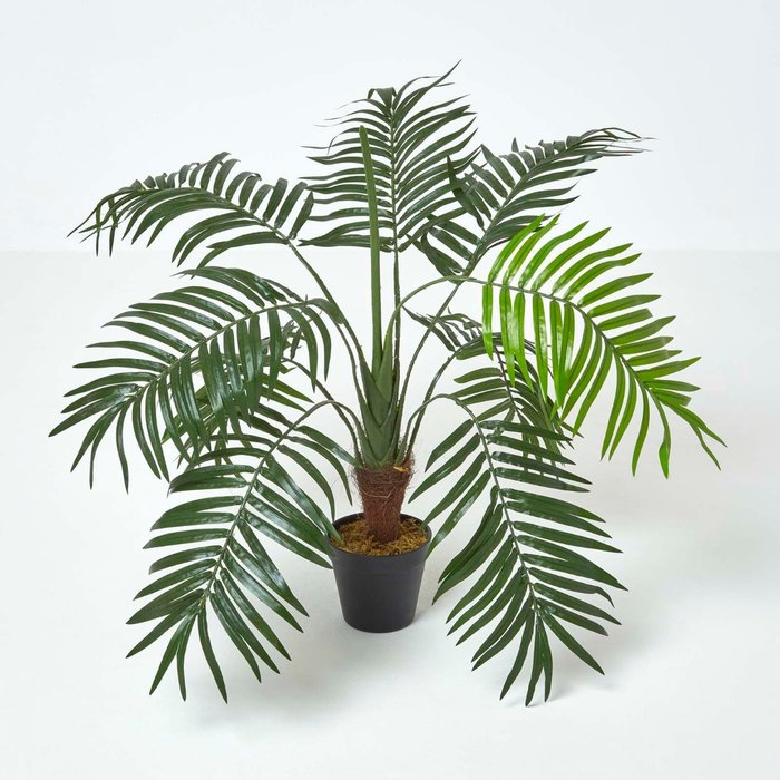 The Range | Homescapes Homescapes Green Mini Palm Tree Artificial Plant with Pot, 70 cm - Green Homescapes Homescapes Green Mini Palm Tree Artificial Plant with Pot, 70 cm - Green
