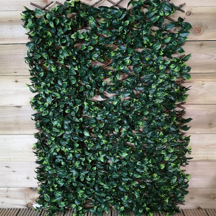 The Range | Samuel Alexander 180 x 60cm Trellis Willow Backed Privacy Screen - Green / Orange Leaf Samuel Alexander 180 x 60cm Trellis Willow Backed Privacy Screen - Green / Orange Leaf