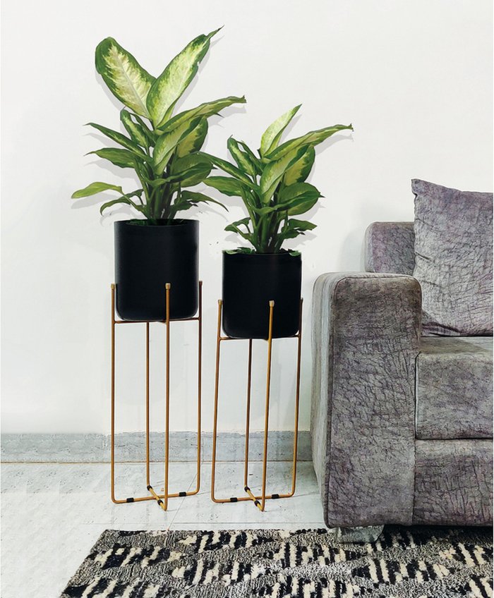The Range | Green Decore Green Decore Vivid Set Of 2 Planters With Stands Black And Brass Green Decore Green Decore Vivid Set Of 2 Planters With Stands Black And Brass