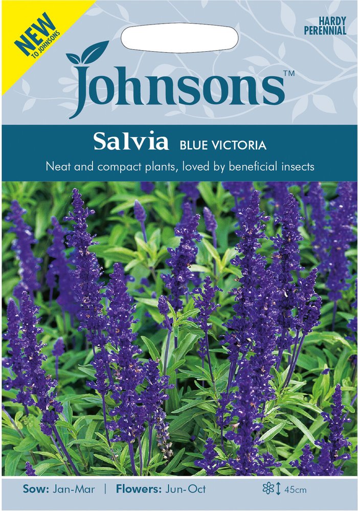 The Range | Johnsons Seeds Blue Victoria Salvia Seeds Johnsons Seeds Blue Victoria Salvia Seeds
