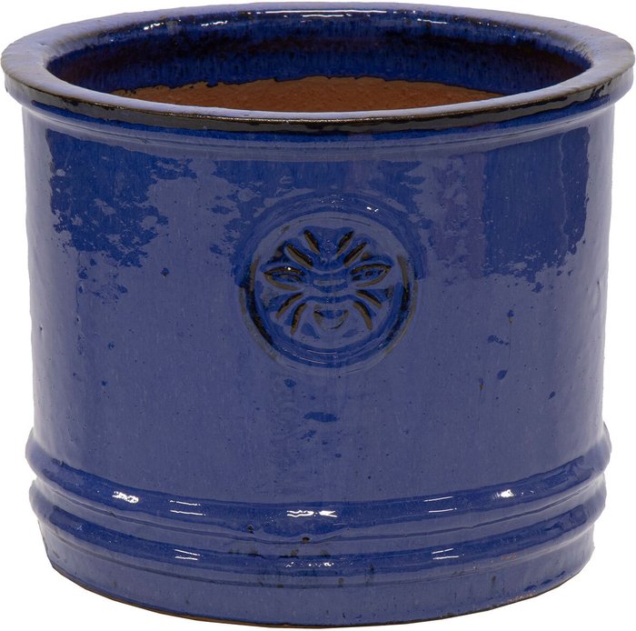 The Range | Glazed Bumble Bee Cylinder Planter - Blue / 20cm Glazed Bumble Bee Cylinder Planter - Blue / 20cm