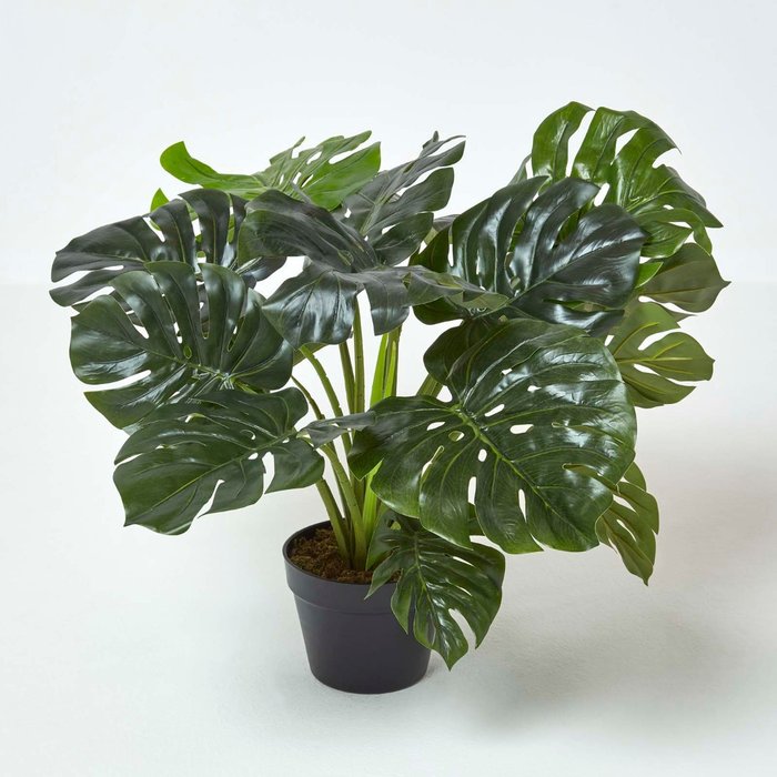 The Range | Homescapes Homescapes Artificial Monstera Plant, 60 cm Tall - Green Homescapes Homescapes Artificial Monstera Plant, 60 cm Tall - Green