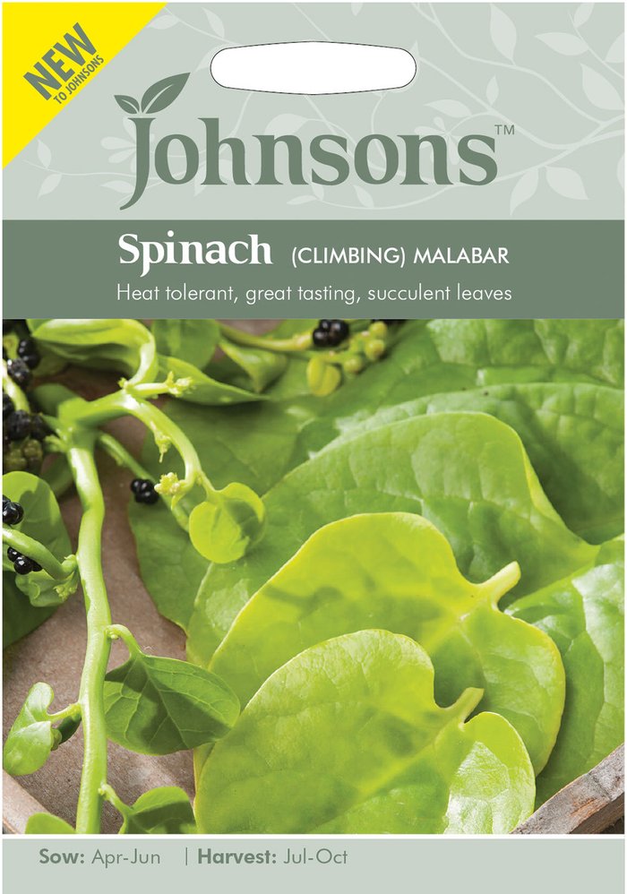The Range | Mr Fothergill's Seeds Spinach (Climbing) Malabar Mr Fothergill's Seeds Spinach (Climbing) Malabar