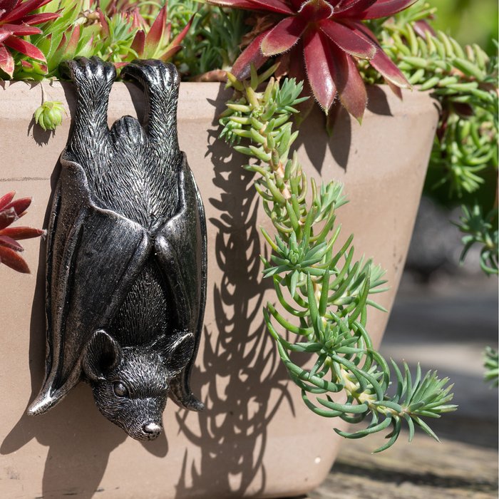 The Range | Pot Buddies Bat Plant Pot Hanger - Antique Bronze Pot Buddies Bat Plant Pot Hanger - Antique Bronze