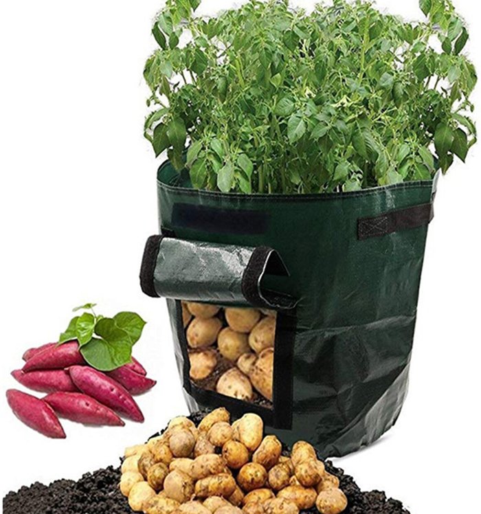 The Range | Heavy Duty PE Plant Bag - Green / 7gallons / 1 Heavy Duty PE Plant Bag - Green / 7gallons / 1