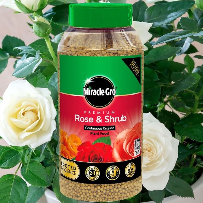 The Range | Miracle-Gro Rose And Shrub Plant Feed 900g - Natural Miracle-Gro Rose And Shrub Plant Feed 900g - Natural
