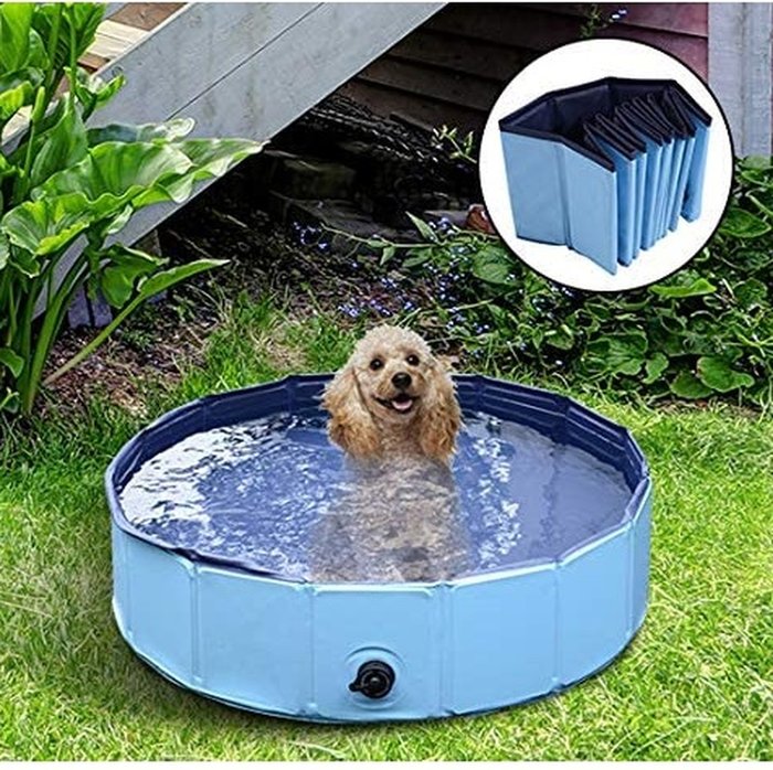 The Range | PawHut PawHut Indoor Outdoor 80cm Pet Pool - Blue PawHut PawHut Indoor Outdoor 80cm Pet Pool - Blue