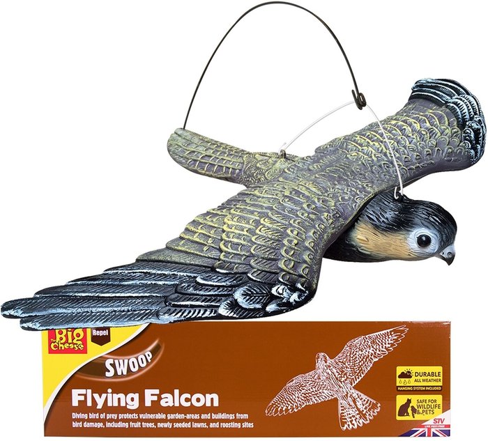 The Range | The Big Cheese The Big Cheese Flying Falcon The Big Cheese The Big Cheese Flying Falcon