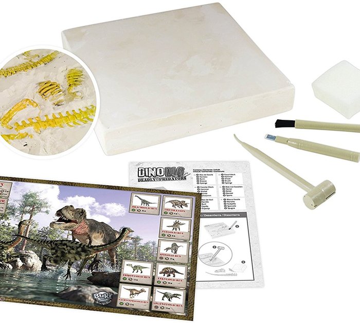 The Range | Buki France Buki France Dino Dig Activity Set Buki France Buki France Dino Dig Activity Set