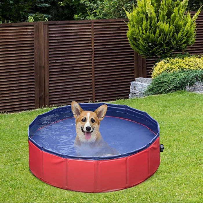 The Range | PawHut PawHut Indoor Outdoor 80cm Pet Pool - Red PawHut PawHut Indoor Outdoor 80cm Pet Pool - Red