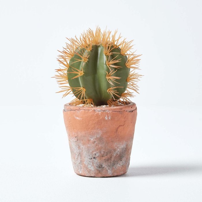 The Range | Homescapes Homescapes Small Round Artificial Cactus in Terracotta Pot, 15cm Tall - Orange Homescapes Homescapes Small Round Artificial Cactus in Terracotta Pot, 15cm Tall - Orange