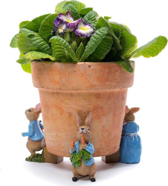 The Range | Potty Feet Colour Peter Rabbit Plant Pot Feet - Set of 3 - Multicolour Potty Feet Colour Peter Rabbit Plant Pot Feet - Set of 3 - Multicolour