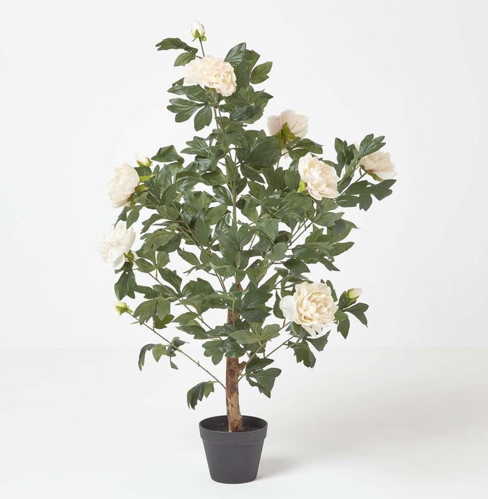 The Range | Homescapes Homescapes Peach Artificial Peony Tree in Black Pot, 100 cm Tall - Peach Homescapes Homescapes Peach Artificial Peony Tree in Black Pot, 100 cm Tall - Peach