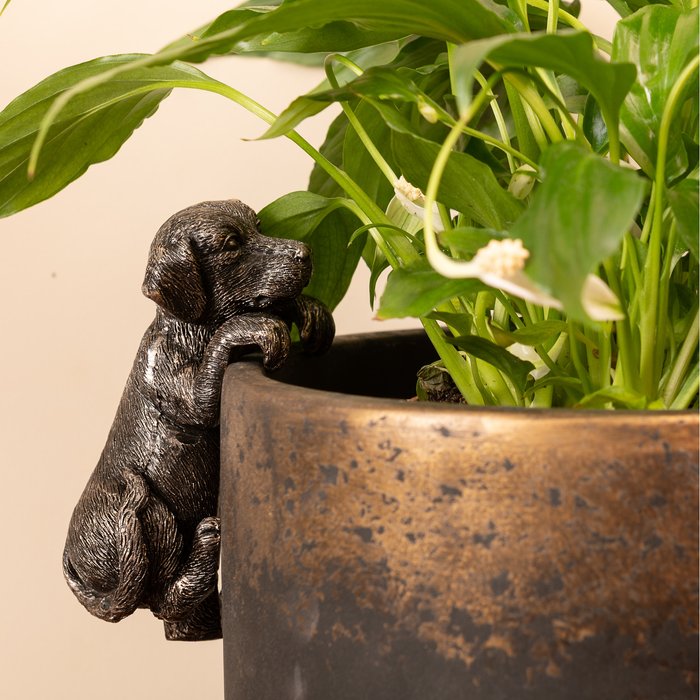 The Range | Pot Buddies Labrador Plant Pot Hanger - Antique Bronze Pot Buddies Labrador Plant Pot Hanger - Antique Bronze