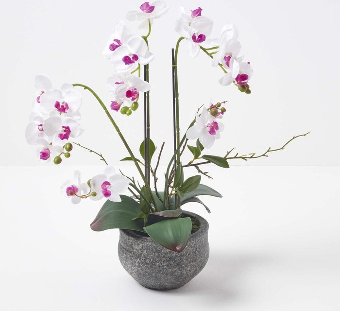 The Range | Homescapes Homescapes 52cm Lifelike Artificial White Orchid in Grey Cement Pot - White Homescapes Homescapes 52cm Lifelike Artificial White Orchid in Grey Cement Pot - White