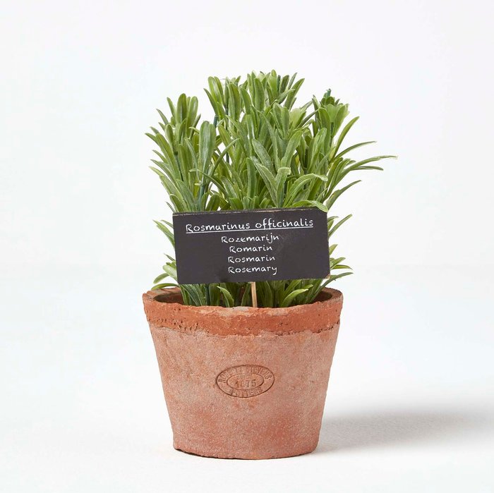 The Range | Homescapes Artificial Rosemary Plant in Decorative Pot - Terracotta Homescapes Artificial Rosemary Plant in Decorative Pot - Terracotta