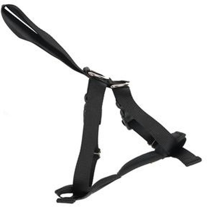 The Range | RAC RAC Medium Car Harness - Black RAC RAC Medium Car Harness - Black