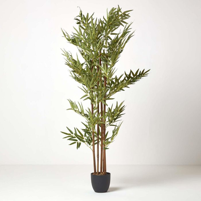 The Range | Homescapes Homescapes Green 5ft Bamboo Tree Artificial Plant with Pot, 155 cm - Green (flowers), black (pot) Homescapes Homescapes Green 5ft Bamboo Tree Artificial Plant with Pot, 155 cm - Green (flowers), black (pot)