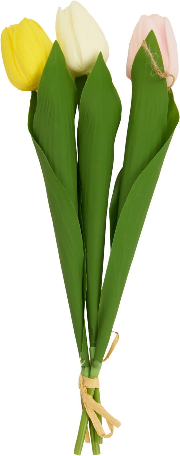 The Range | Pack of 3 Tulip Picks Pack of 3 Tulip Picks