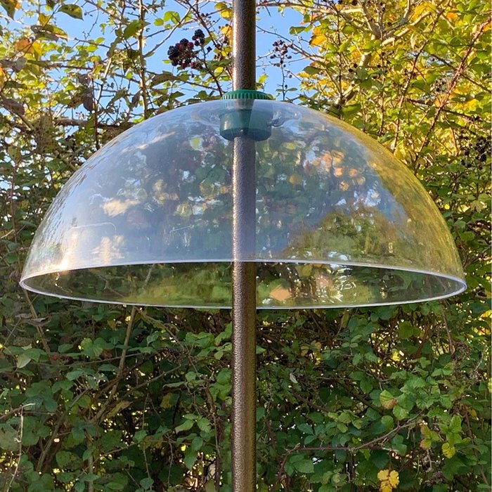 The Range | Selections Squirrel Proof Baffle Protection for Wild Bird Feeders - Clear Selections Squirrel Proof Baffle Protection for Wild Bird Feeders - Clear