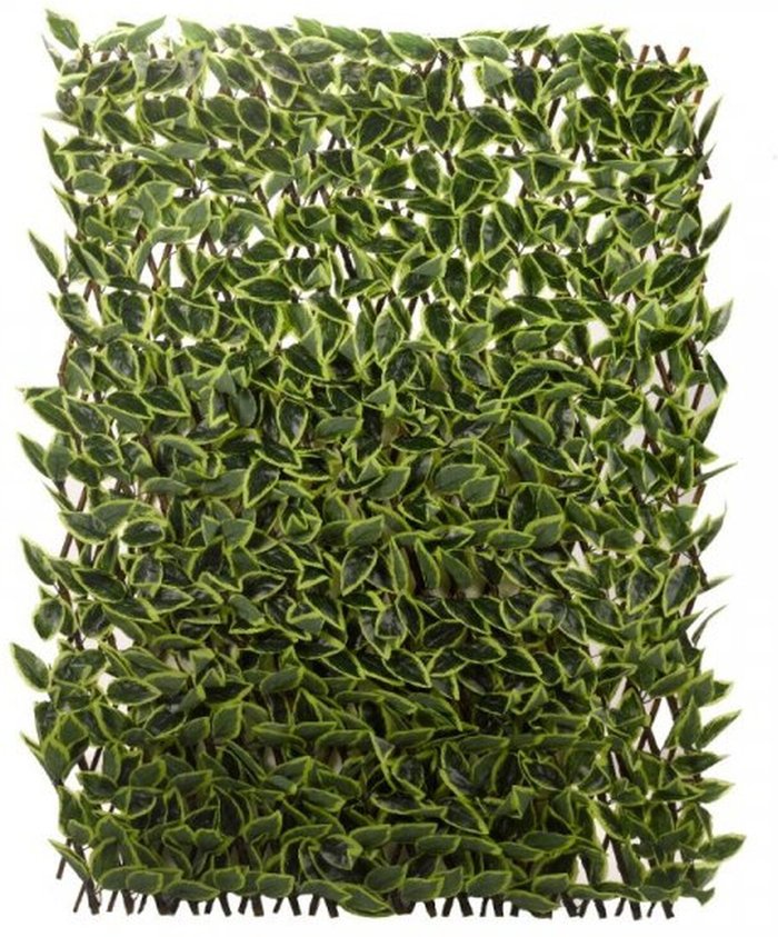 The Range | Faux Décor Faux Décor Faux Decor Hosta Leaf 180 X 90Cm Trellis - Green Faux Décor Faux Décor Faux Decor Hosta Leaf 180 X 90Cm Trellis - Green