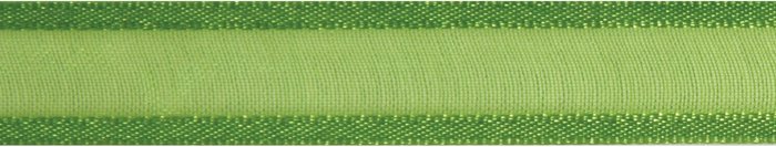The Range | Organdie Ribbon with Satin Edge - Lime Green / 5m Organdie Ribbon with Satin Edge - Lime Green / 5m