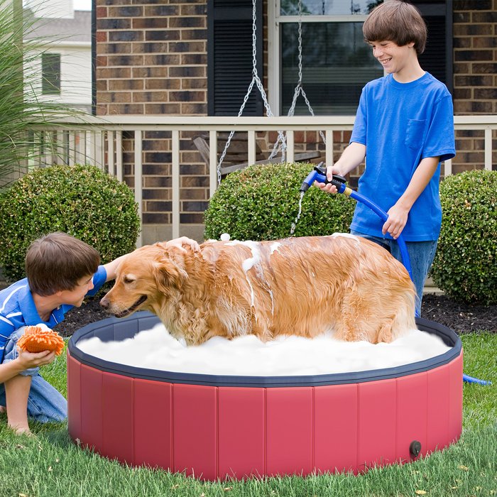 The Range | PawHut PawHut Indoor Outdoor 100cm Pet Pool - Blue PawHut PawHut Indoor Outdoor 100cm Pet Pool - Blue