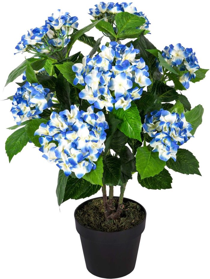 The Range | Homescapes Homescapes Artificial Blue Hydrangea in Black Pot, 70 cm - Blue Homescapes Homescapes Artificial Blue Hydrangea in Black Pot, 70 cm - Blue
