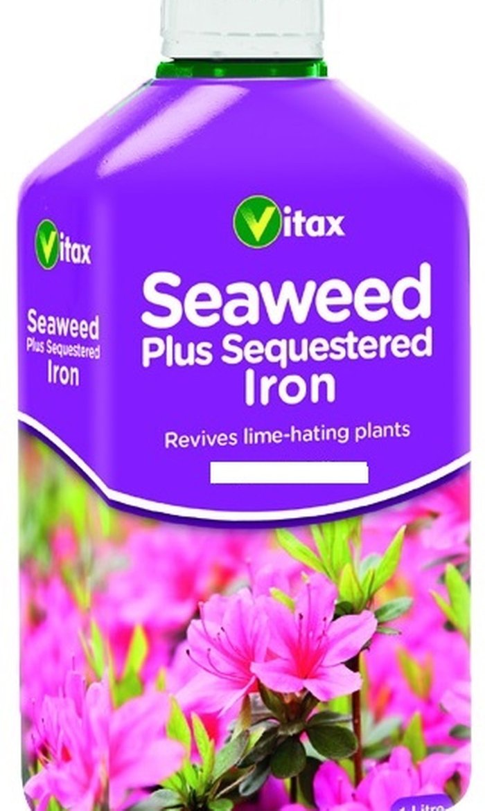 The Range | Vitax Seaweed Plus Sequestered Iron Plant Feed 500ml - Neutral Vitax Seaweed Plus Sequestered Iron Plant Feed 500ml - Neutral