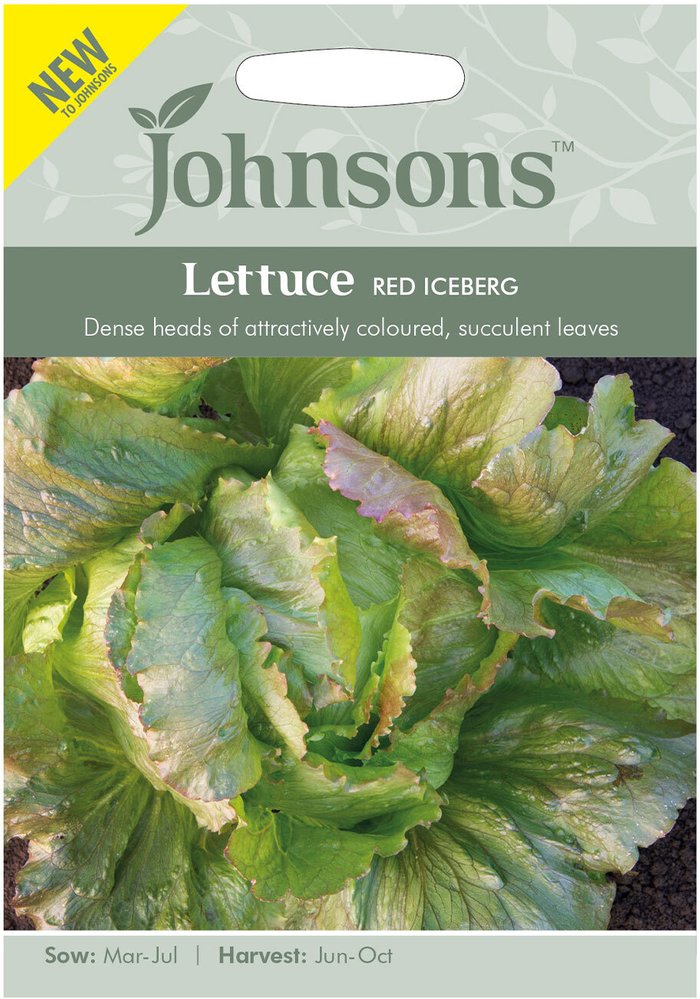 The Range | Johnsons Seeds Lettuce Red Iceberg Johnsons Seeds Lettuce Red Iceberg