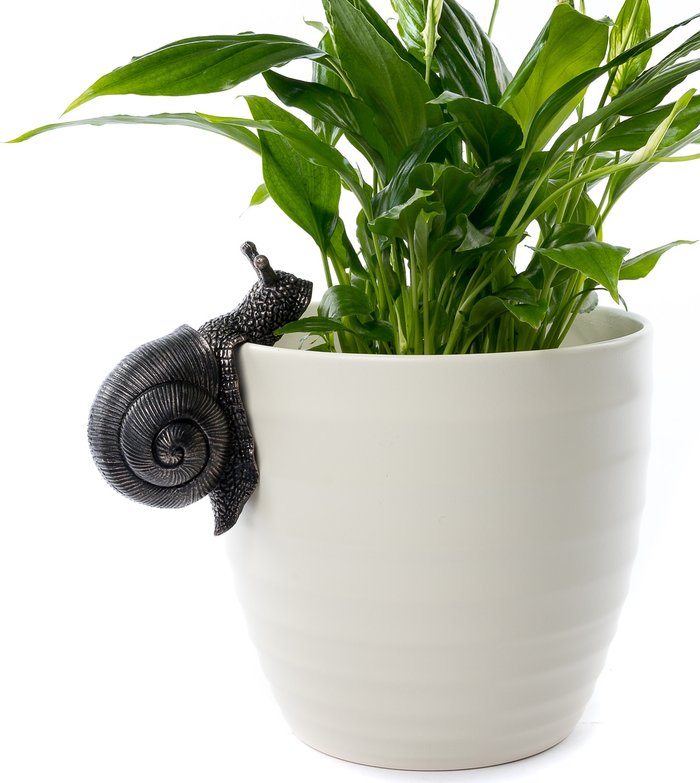 The Range | Pot Buddies Snail Plant Pot Hanger - Antique Bronze Pot Buddies Snail Plant Pot Hanger - Antique Bronze