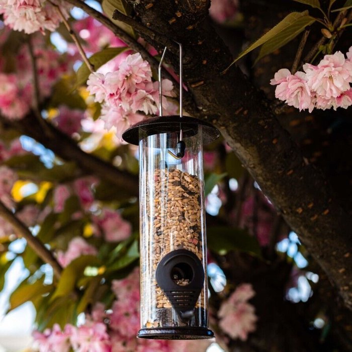The Range | Hammertone Bird Seed Feeder - Black Hammertone Bird Seed Feeder - Black