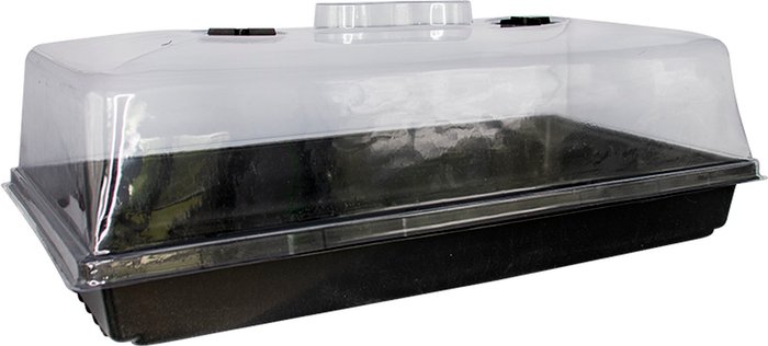 The Range | Jiffy Propagator - Black and Clear Jiffy Propagator - Black and Clear