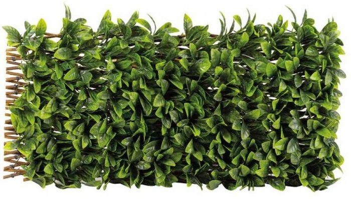 The Range | Smart Garden Smart Garden Lemon Leaf Window Trellis Smart Garden Smart Garden Lemon Leaf Window Trellis