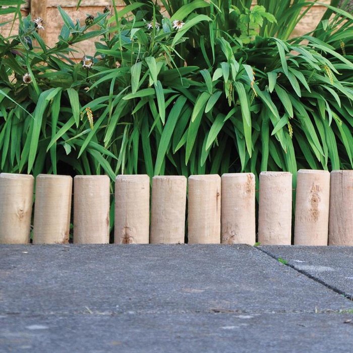 The Range | Samuel Alexander 22.5cm (9 Samuel Alexander 22.5cm (9