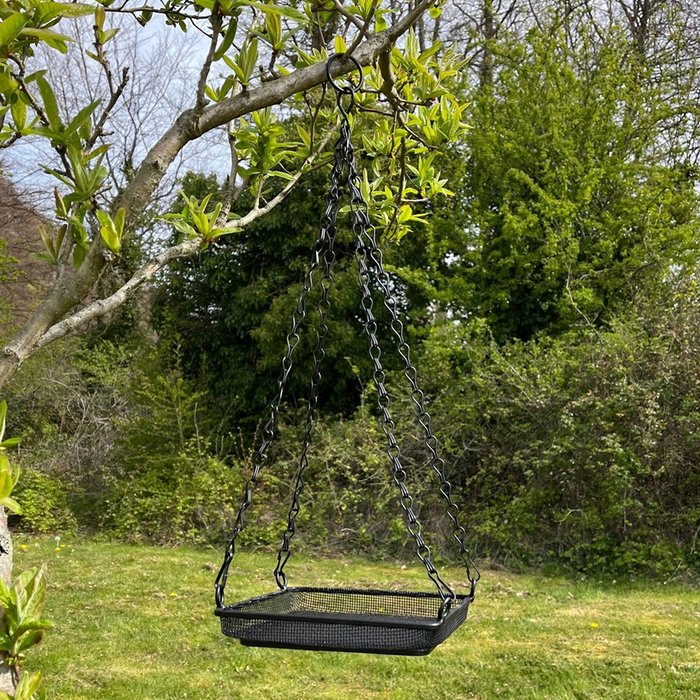 The Range | Selections Hanging Metal Bird Seed and Nut Feeder Tray - Black / 0.5kg Selections Hanging Metal Bird Seed and Nut Feeder Tray - Black / 0.5kg