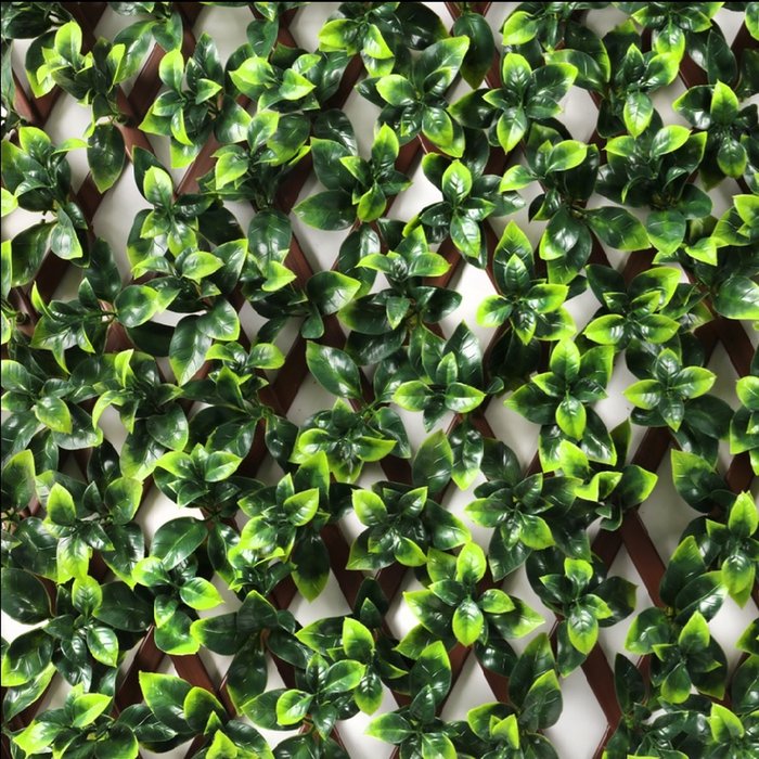 The Range | Samuel Alexander 1 x 2m Trellis PE Backed Privacy Screen - Green / Gardenia Leaf Samuel Alexander 1 x 2m Trellis PE Backed Privacy Screen - Green / Gardenia Leaf