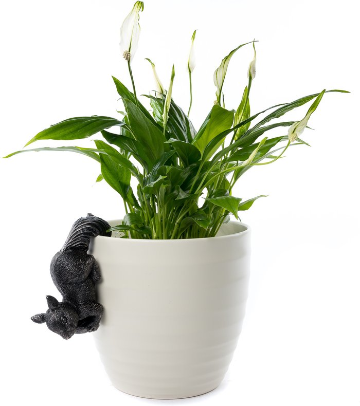 The Range | Pot Buddies Red Squirrel Plant Pot Hanger - Antique Bronze Pot Buddies Red Squirrel Plant Pot Hanger - Antique Bronze