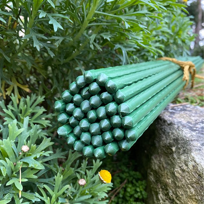 The Range | Selections Sets of Plastic Coated Metal Plant Support Sticks - Green / 40 / 140cm Selections Sets of Plastic Coated Metal Plant Support Sticks - Green / 40 / 140cm