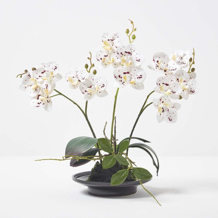 The Range | Homescapes Homescapes 38cm Lifelike Artificial White Orchid in Black Ceramic Bowl - White Homescapes Homescapes 38cm Lifelike Artificial White Orchid in Black Ceramic Bowl - White