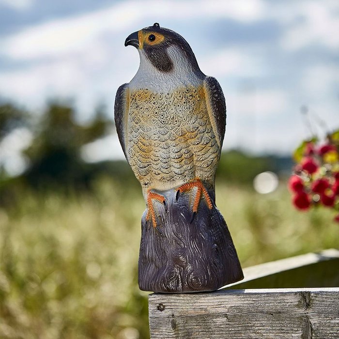 The Range | The Big Cheese Falcon Bird Deterrent - Brown The Big Cheese Falcon Bird Deterrent - Brown