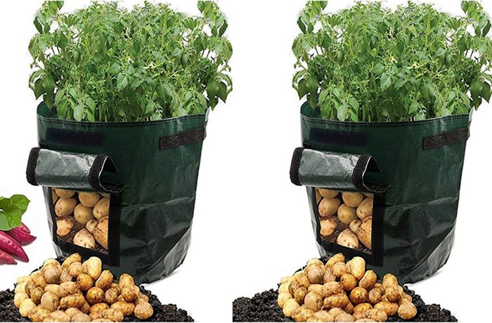 The Range | Heavy Duty PE Plant Bag - Green / 10gallons / 2 Heavy Duty PE Plant Bag - Green / 10gallons / 2