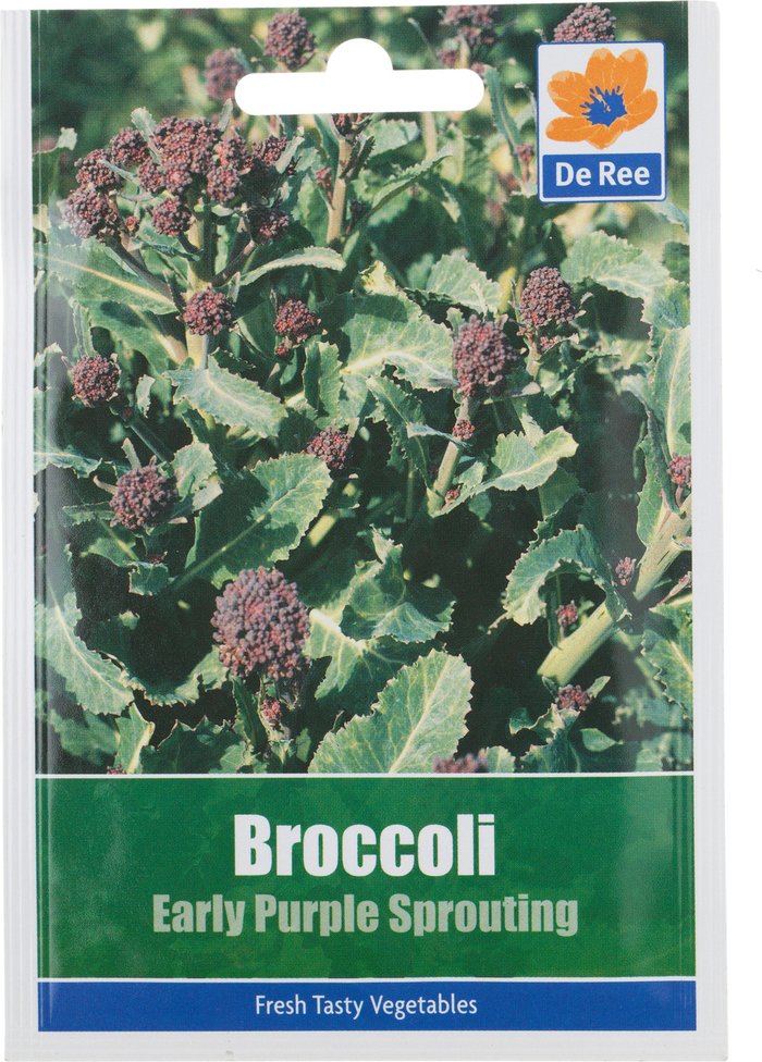 The Range | De Ree Broccoli Early Purple Sprouting Seed Packet De Ree Broccoli Early Purple Sprouting Seed Packet
