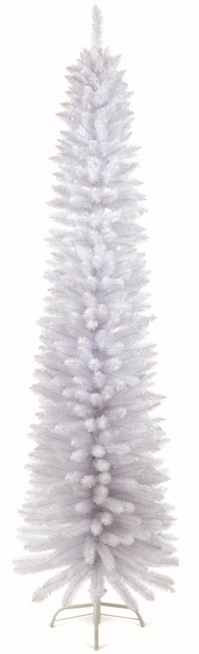The Range | Premier 2M White Pencil Pine Tree - White Premier 2M White Pencil Pine Tree - White